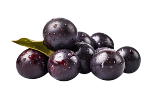 Fresh bunch acai berries isolated on transparent background png