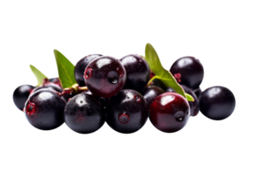 Fresh bunch acai berries isolated on transparent background png