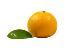 vers single oranje fruit geïsoleerd Aan transparant achtergrond png