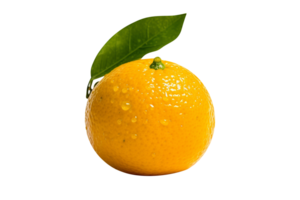 Fresh single orange fruit isolated on transparent background png