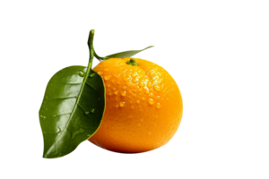 Fresh single orange fruit isolated on transparent background png