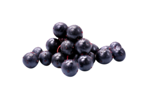 Fresh bunch acai berries isolated on transparent background png