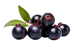 Fresh bunch acai berries isolated on transparent background png