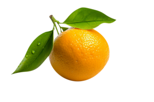 Fresh single orange fruit isolated on transparent background png