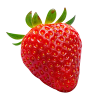 Frais Célibataire fraise isolé sur transparent Contexte png