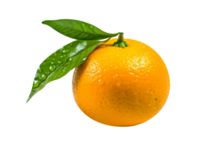 Fresh single orange fruit isolated on transparent background png