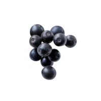 Bunch of fresh chokeberries isolated on transparent background png