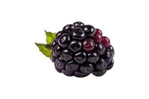 Fresh blackberry isolated on transparent background png