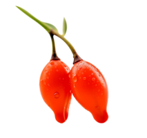 Fresh barberries isolated on transparent background png