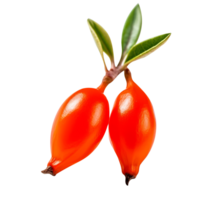 Fresh barberries isolated on transparent background png