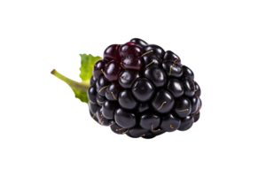 Fresh blackberry isolated on transparent background png