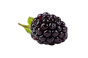 Fresh blackberry isolated on transparent background png