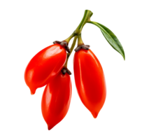 Fresh barberries isolated on transparent background png