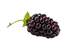 Fresh blackberry isolated on transparent background png