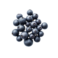 Bunch of fresh chokeberries isolated on transparent background png