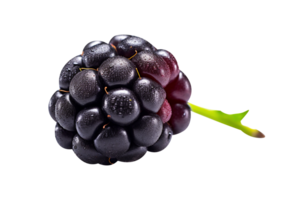 Fresh blackberry isolated on transparent background png