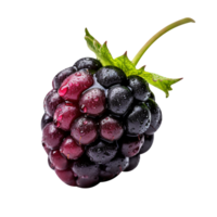 Fresh blackberry isolated on transparent background png