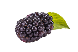 Fresh blackberry isolated on transparent background png