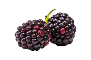 Fresh blackberry isolated on transparent background png