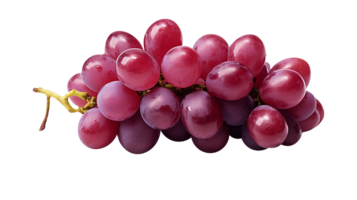 Fresh cluster of dark red grapes on transparent background png