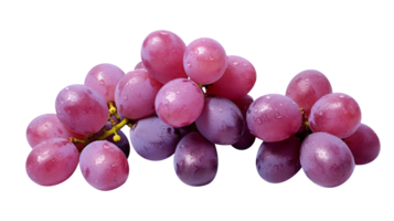 Fresh cluster of dark red grapes on transparent background png