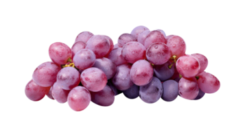 Fresh cluster of dark red grapes on transparent background png