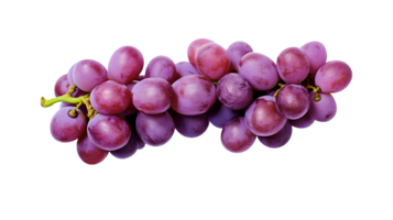 Fresh cluster of dark red grapes on transparent background png