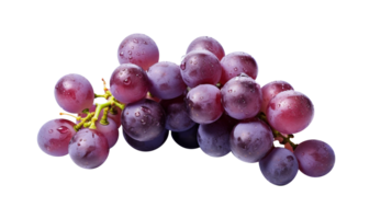 Fresh cluster of dark red grapes on transparent background png