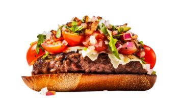 Delicious bruschetta burger on transparent background png