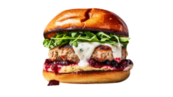 Delicious cranberry turkey burger on transparent background png