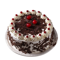 Delicious black forest cake decorated with fresh cherries on png background