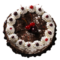 Delicious black forest cake decorated with fresh cherries on png background