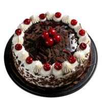 Delicious black forest cake decorated with fresh cherries on png background