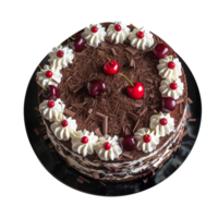 délicieux noir forêt gâteau décoré avec Frais cerises sur png Contexte