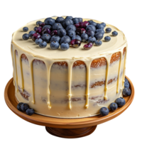 Delicious decorated cake with fresh blueberries isolated on transparent background png