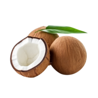 Fresh Broken coconuts isolated on transparent background png