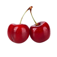 Fresh pair of cherries isolated on transparent background png