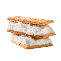 Tasty coconut ice cream sandwich on transparent background png