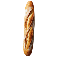 Freshly baked long bread loaf on png background