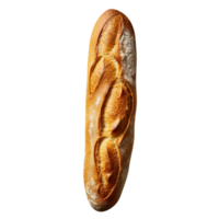 Freshly baked long bread loaf on png background