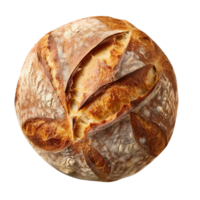 Freshly baked bread loaf on png background