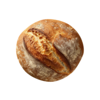 Freshly baked bread loaf on png background