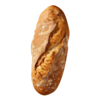 Freshly baked bread loaf on png background