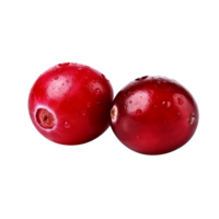 Fresh cranberry isolated on transparent background png