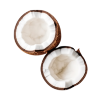 broken coconuts on a transparent background png