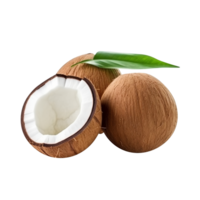 cassé noix de coco sur une transparent Contexte png