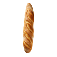 Freshly baked long bread loaf on png background