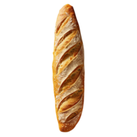 frisch gebacken lange Brot Laib auf png Hintergrund