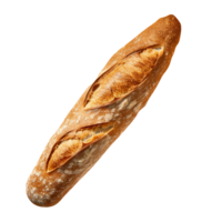 Freshly baked long bread loaf isolated on transparent background png