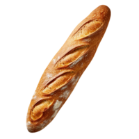 Freshly baked long bread loaf isolated on transparent background png